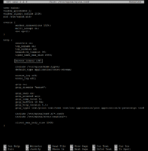 How to Hide Nginx Version?
