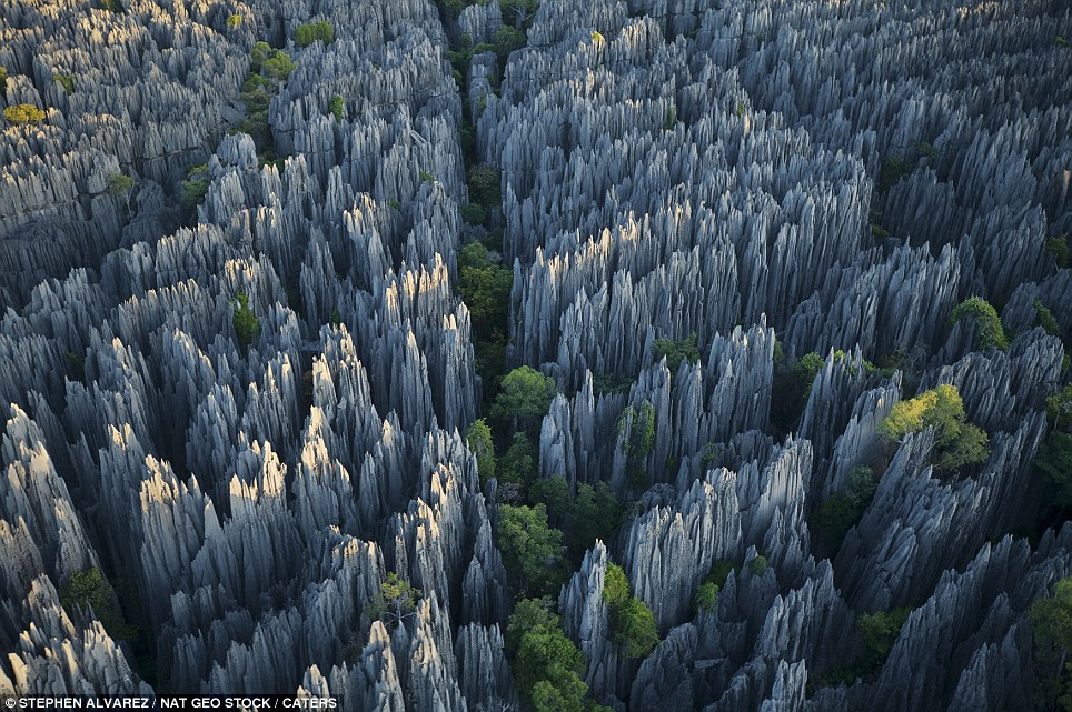 Stone Forest, Madagascar