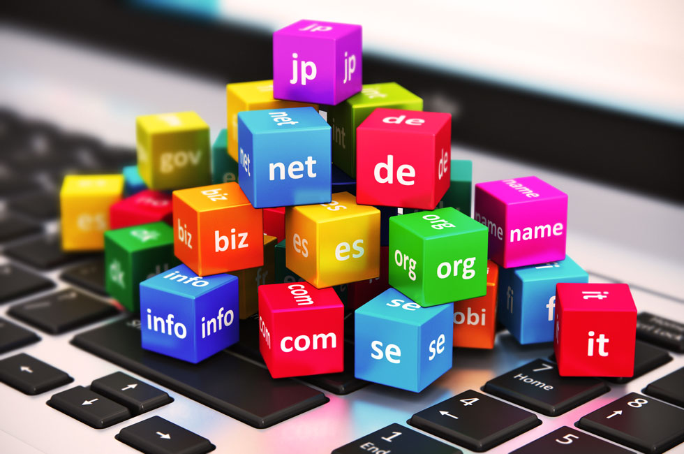  Choose Domain Names