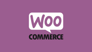 10 Best WooCommerce Extensions