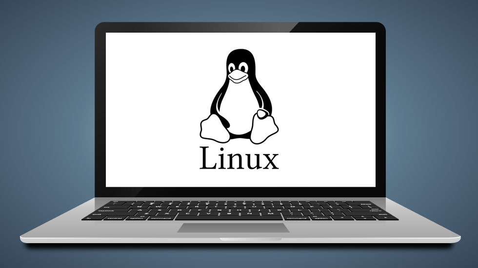 Linux Laptop