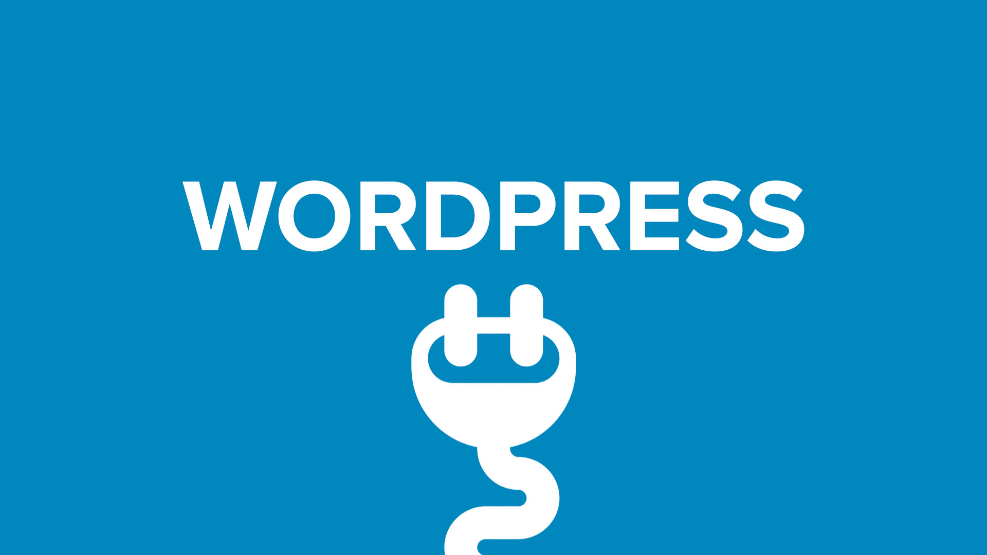 WordPress Plugins