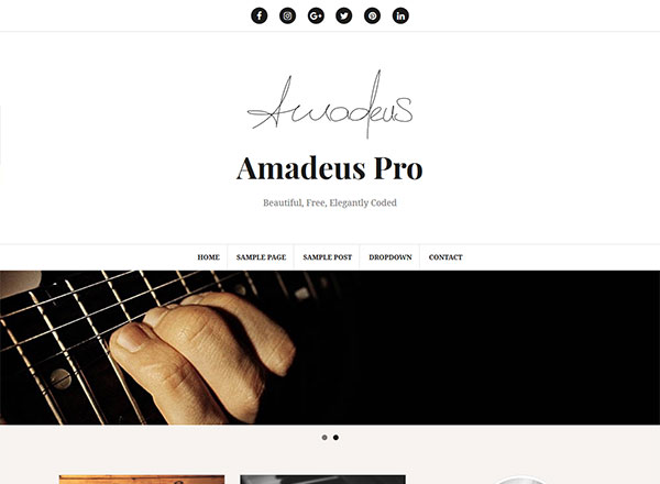 Amadeus Pro