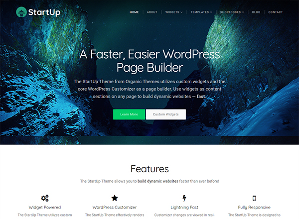 StartUp Theme