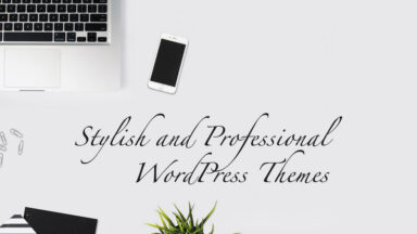 30 Stylish and Professional WordPress Themes to Checkout This Year
