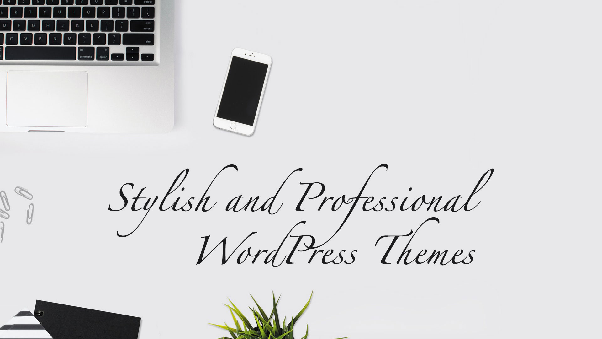 Stylish and Professional WordPress Themes