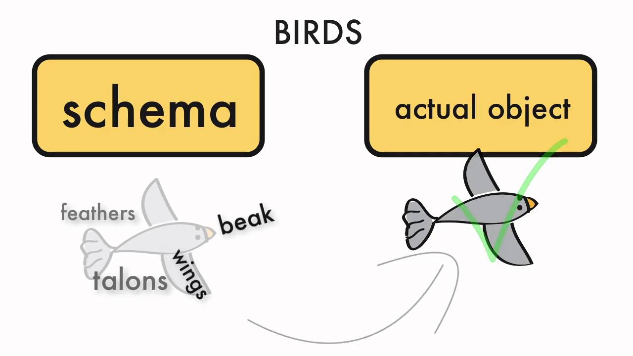 Schema Markup