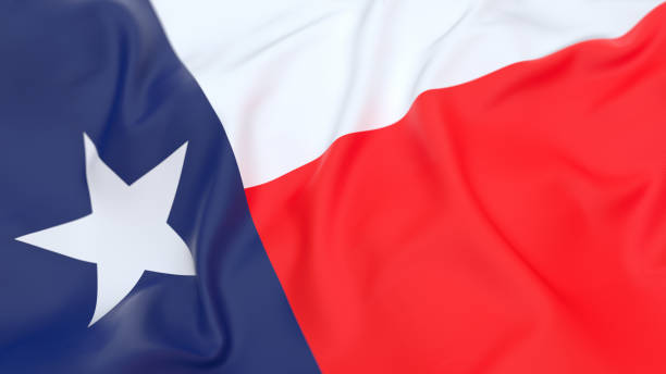 Texas Flag Pic