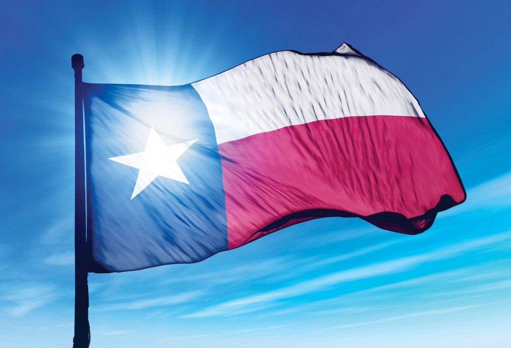 Texas Flag Picture