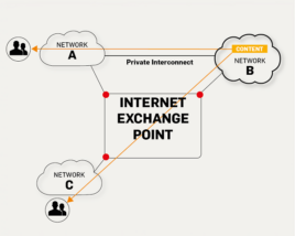 Internet Exchange Point (IXP)