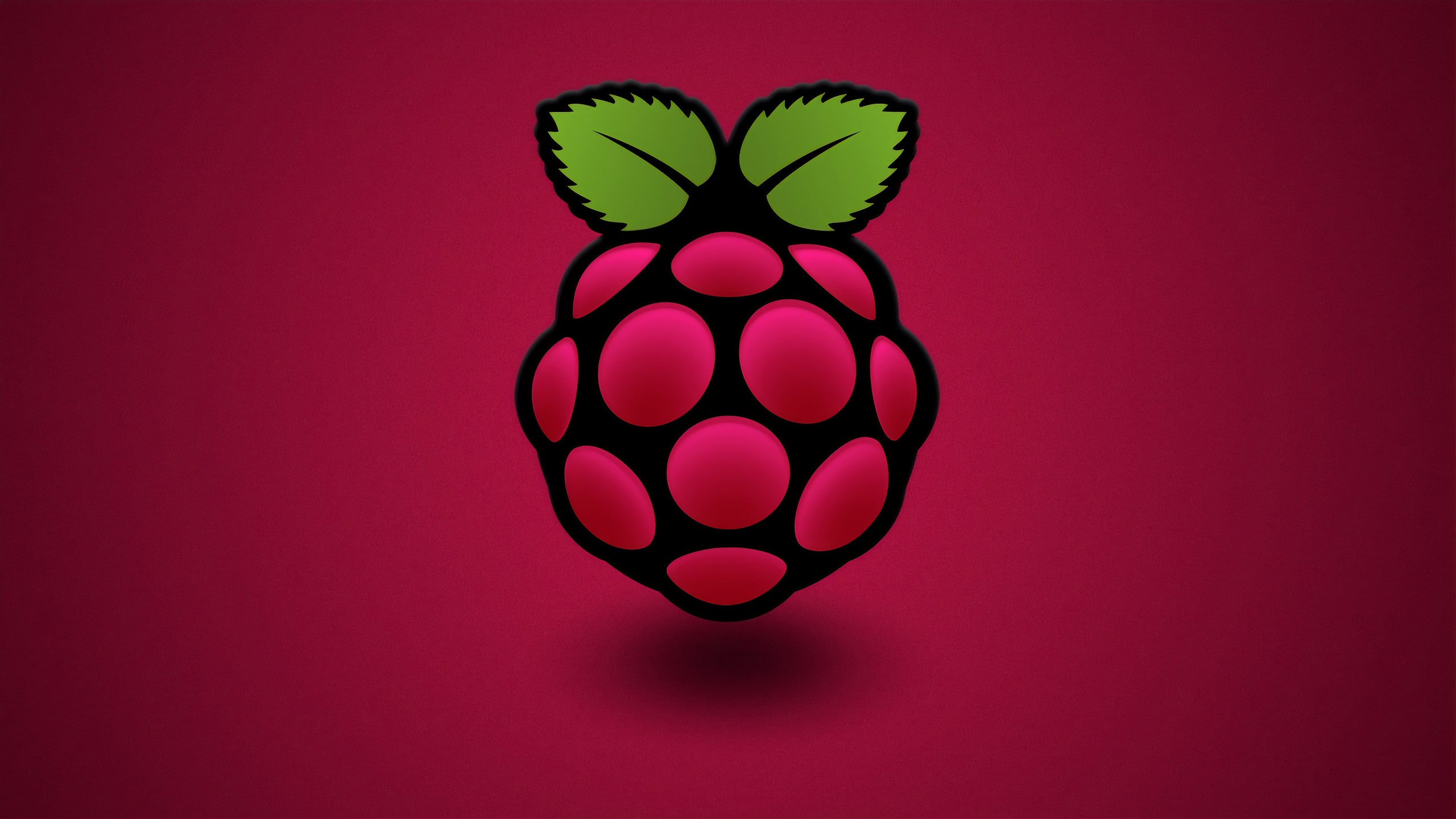 Raspberry Pi