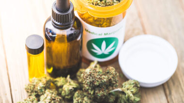 How to start a successful cannabis business?