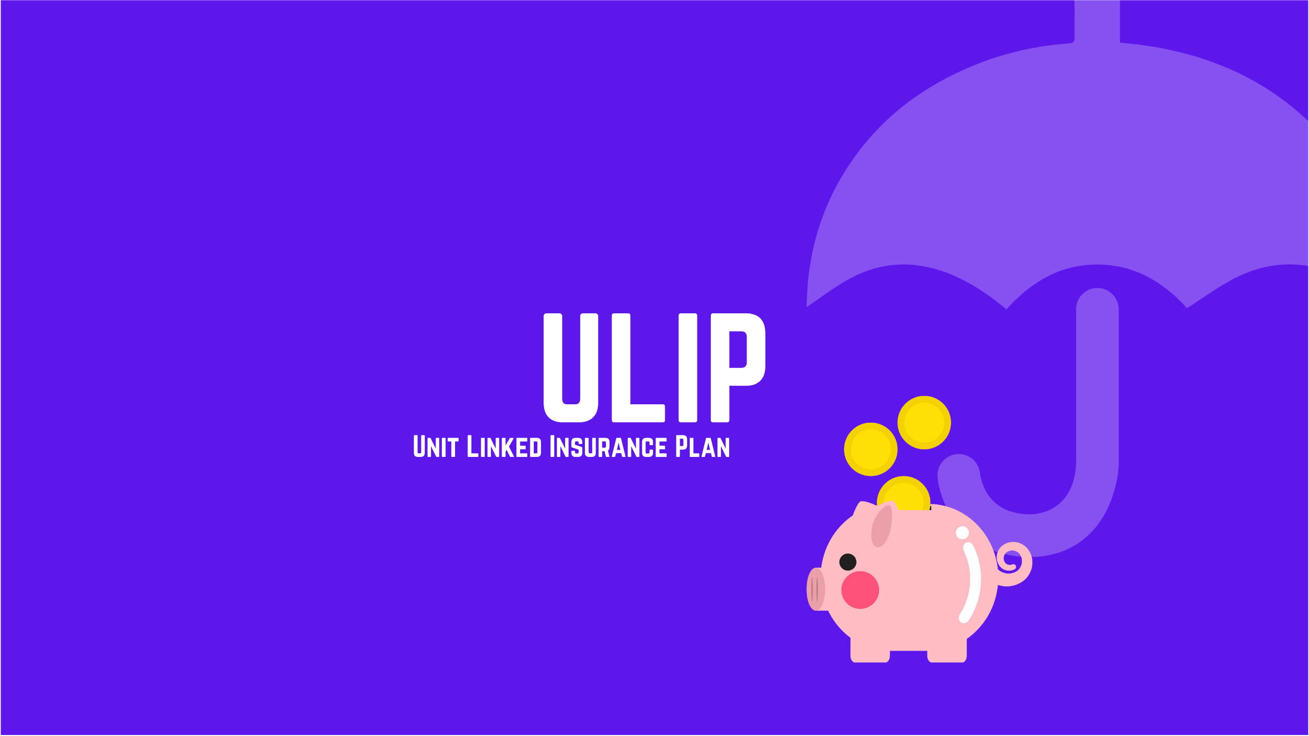 Unit Linked Insurance Plan