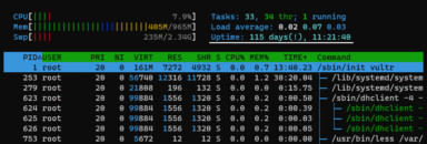 Why does htop show an exclamation mark next to uptime?