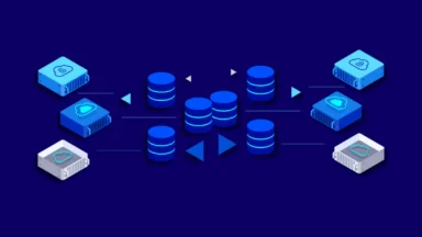 Export and Import Databases in MariaDB