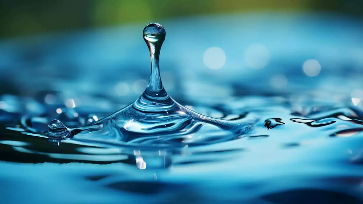 Water